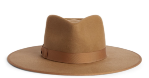 bronze interior design rancher hat